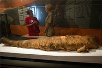 Múmiák láthatóak testközelben a Szépművészeti Múzeumban